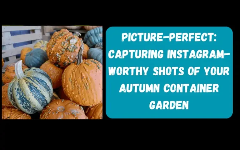 creating Insta-worthy shots of your autumn container garden