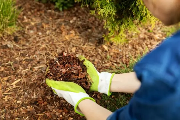 person make Leaf Mulch