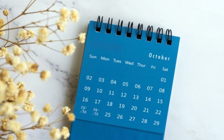 October Flowers A guide to the Best Blooms of Autumn