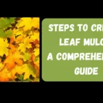 Steps to Create Leaf Mulch: A Comprehensive Guide