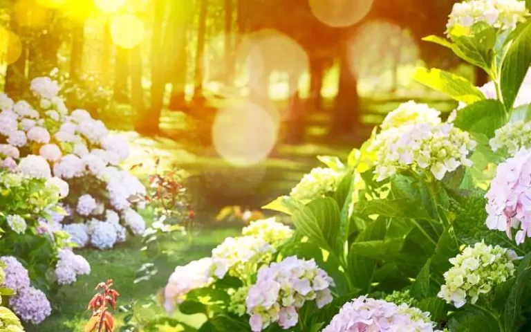 time saving tips for lazy gardeners