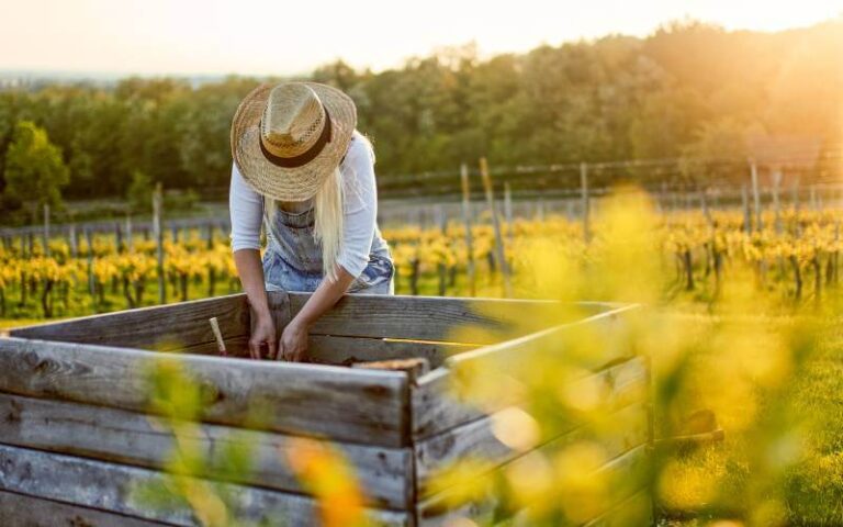 8 Materials To Create Attractive and Productive Raised Beds
