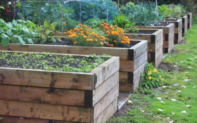 How To Prepare Your Raised Beds for Spring