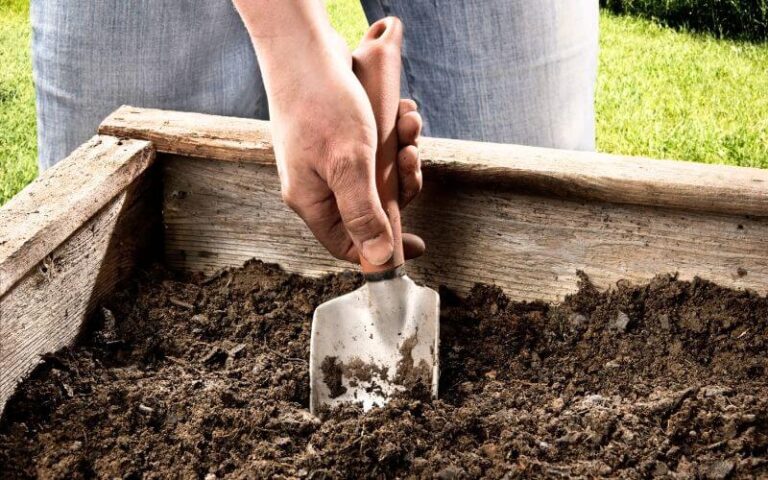 Raised beds soil featured
