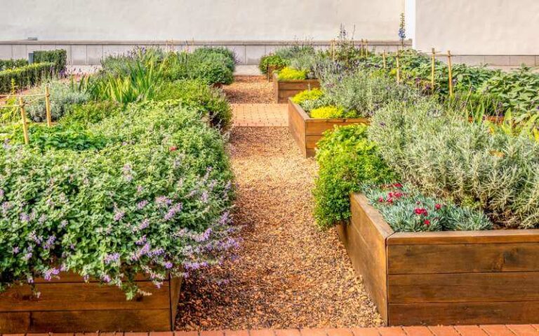 Use Raised Beds To Easily Grow More In Your Garden